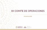 XII COMITE DE OPERACIONES - Inicio