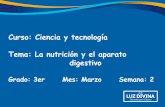 Curso: Ciencia y tecnología Tema: La nutrición y el ...