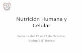 Nutrición Humana y Celular - Colegio PAZ