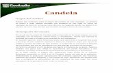 Candela - Gobierno De Coahuila