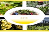 Análisis del Mercado del Banano 2018 - Home | Food and ...