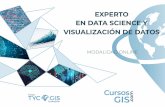 EXPERTO EN DATA SCIENCE Y VISUALIZACIÓN DE DATOS