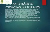 OCTAVO BÁSICO CIENCIAS NATURALES