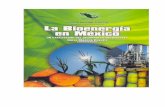 libro bioenergia - UNAM