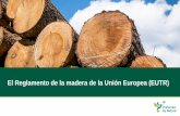 El Reglamento de la madera de la Unión Europea (EUTR)