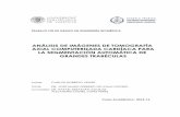 Agradecimientos - Technical University of Valencia