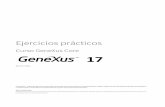 17 - GeneXus