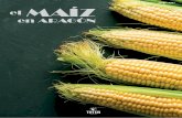 El maíz en Aragón 1 - totempublicaciones