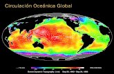 Circulación Oceánica Global