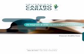 ARTE - Castro Carazo