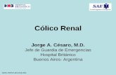 C³lico Renal - Recursos Educacionales en Espa±ol para Medicina