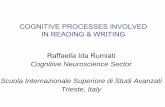COGNITIVE PROCESSES INVOLVED IN READING & WRITING Raffaella Ida