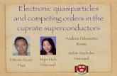 Electronic quasiparticles and competing orders in the cuprate