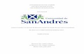 UNIVERSIDAD DE SAN ANDRÉS DOCTORADO EN EDUCACIÓN …