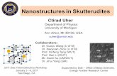 Nanostructures in Skutterudites