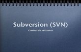 Subversion (SVN) - Solo Bits