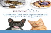 Control de ectoparásitos en perros y gatos