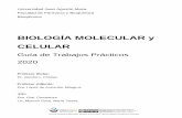BIOLOGÍA MOLECULAR y CELULAR - repositorio.umaza.edu.ar