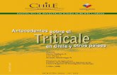 ANTECEDENTES SOBRE EL TRITICALE, EN CHILE Y OTROS PAÍSES