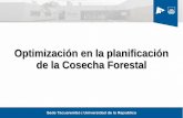 Optimización en la planificación de la Cosecha Forestal