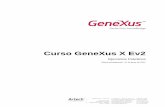 Práctico Curso GeneXus X