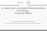 La tuberculosis y sus determinantes sociales en las ...
