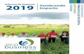 Informe de Impacto Sembrando 2019 Impacto MENSAJES …