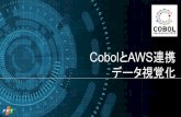 CobolとAWS連携 データ視覚化
