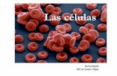 2 Celulas&Virus [Modo de compatibilidad]
