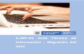G.INF.05 Guía Técnica de Información - Migración del dato
