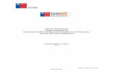 Informe Técnico Final Código CHVA010013/ CHILE VA