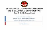 ESTUDIO DEL COMPORTAMIENTO DE COLUMNAS COMPUESTAS …