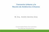 Transecto Urbano y la Noción de Ambientes Urbanos