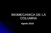 BIOMECANICA DE LA COLUMNA LUMBAR - institutoibia.com