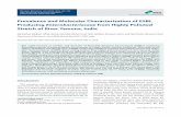 Prevalence and Molecular Characterization of ESBL ...