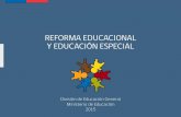 REFORMA EDUCACIONAL Y EDUCACIÓN ESPECIAL