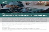 Business Intelligence Gerencial