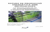 ESTUDI DE PRODUCCIÓ ENERGÈTICA AMB MICROALGUES
