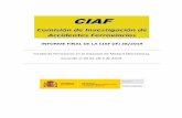 INFORME FINAL DE LA CIAF (IF) 28/2019