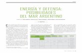 ENERGíA y DEFENSA: POSIbILIDADES DEL MAR ARGENTINO