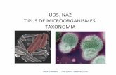 UD5. NA2 TIPUS DE MICROORGANISMES. TAXONOMIA