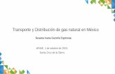 Transporte y Distribución de gas natural en México