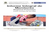 Informe Integral de Monitoreo - ICBF