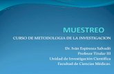 CURSO DE METODOLOGIA DE LA INVESTIGACION Dr. Iván …