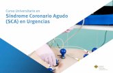 Curso Universitario en Síndrome Coronario Agudo (SCA) en ...