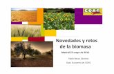 Novedades y retos de la biomasa