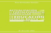 ACTUALIZACIÓN FORTALECIMIENTO CURRICULAR EDUCACIÓN