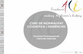 making Alzheimer’s history - Seminari Permanent de ...