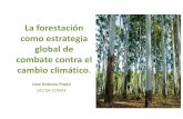 La forestación como estrategia global de combate contra el ...