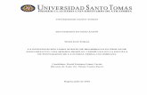 UNIVERSIDAD SANTO TOMAS DOCTORADO EN EDUCACIÓN …